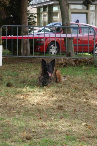 foire-haricots 2011-09-17et18